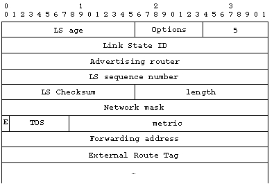 AS external Link State Advertisement
