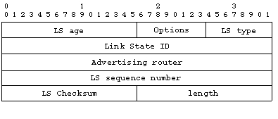 Link State Advertisement Header