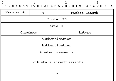Link State Update packet