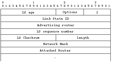 Network Link State Advertisement