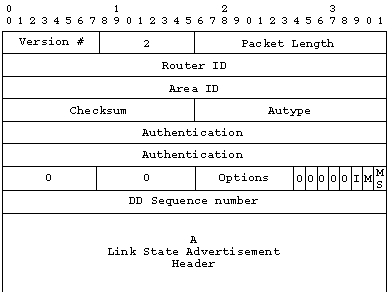 Database description paket
