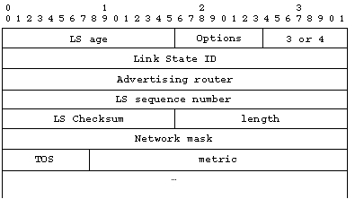 Summary Link State Advertisement